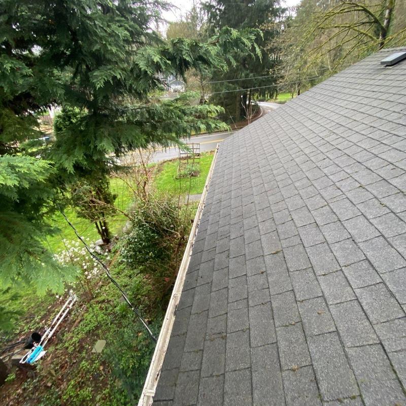 Roof shingles and gutter with surface debris cleared