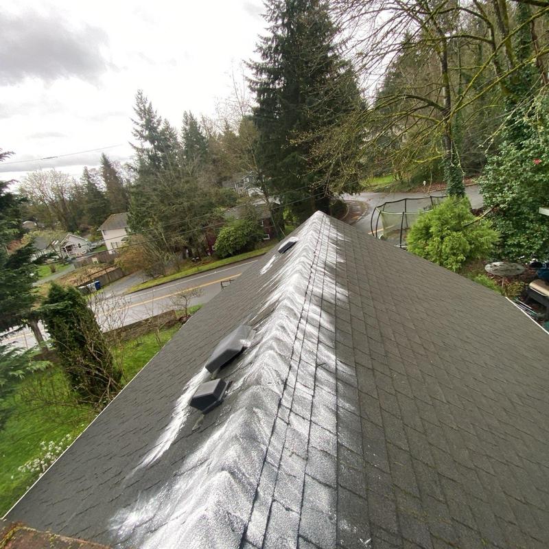 Asphalt shingle roof with moss treatment and cleaning