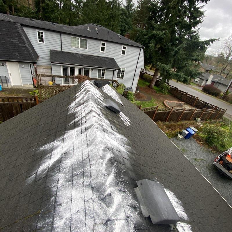 Roof moss treatment and cleaning on residential shingle roof