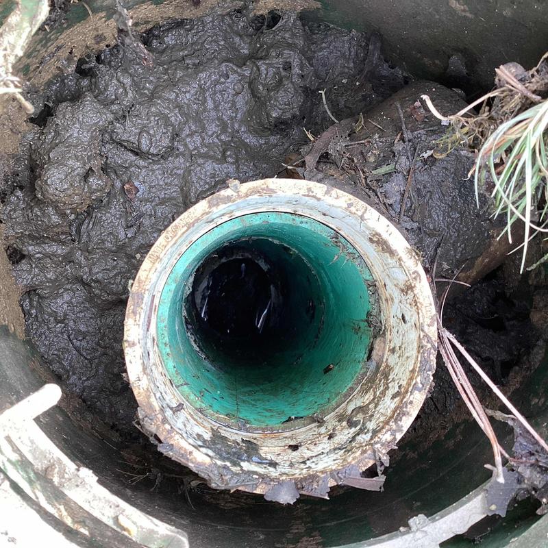 Sewer line opening with mud and debris buildup