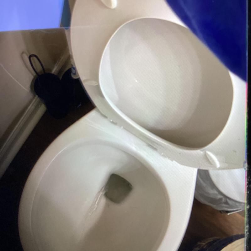 Toilet bowl with water flow inside residential bathroom