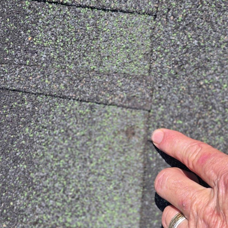 Asphalt roof shingle hail damage marked by hand