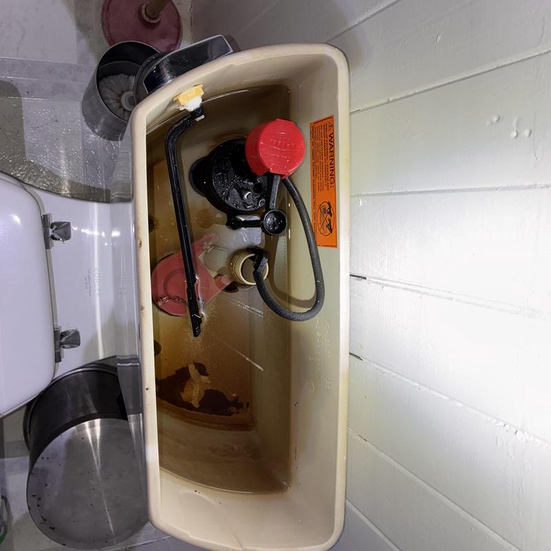 Toilet tank lever and flush mechanism repair