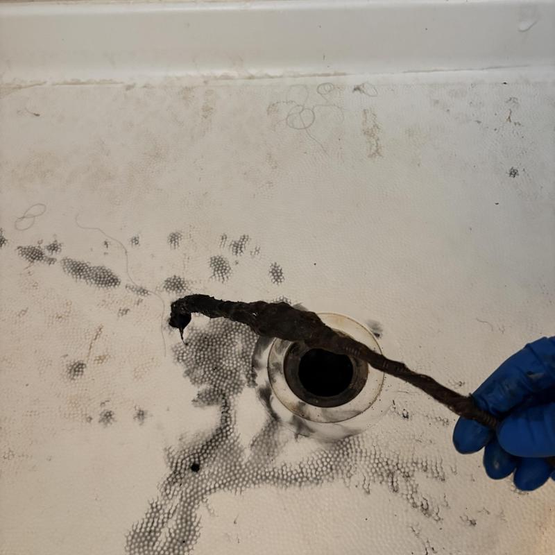 Shower drain clogged with hair buildup removal
