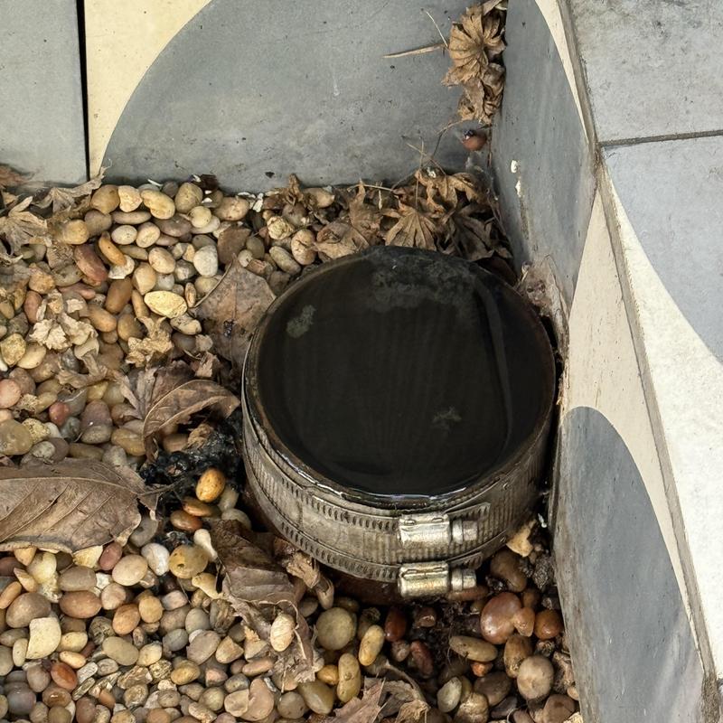 Sewer cleanout cap filled with standing water and debris
