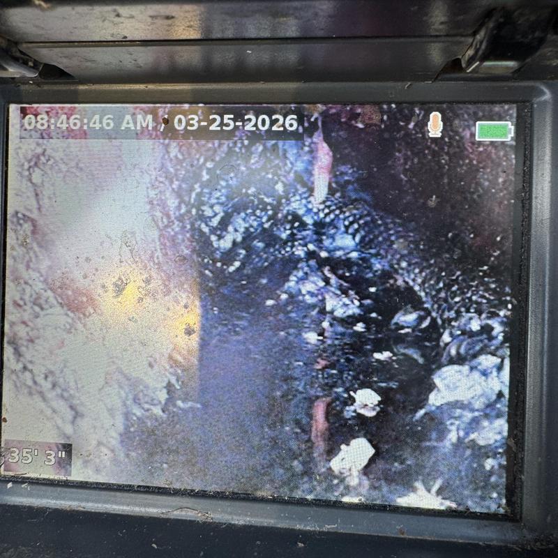 Sewer line inspection showing root intrusion and debris