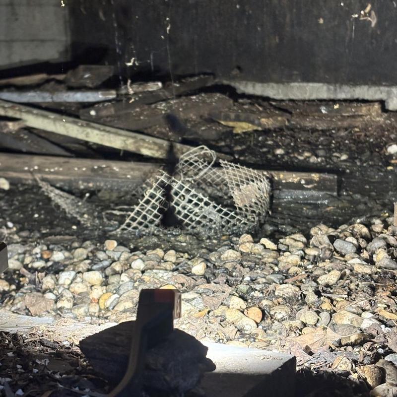 Sewer line with damaged metal pipe screen and debris