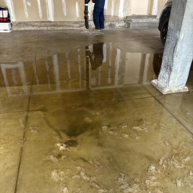 House trap hydro jetting clearing grease buildup