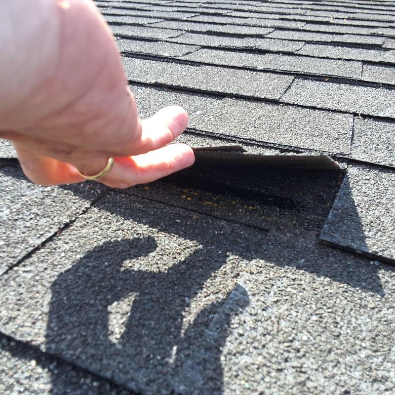 Asphalt roof shingle lifted during inspection in Bluff City