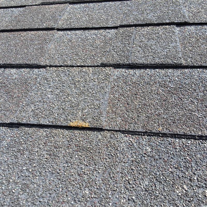 Asphalt shingle roof with minor discoloration spot
