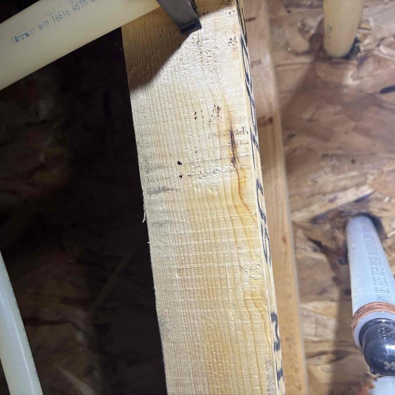 Pex hot water supply line inside wall framing