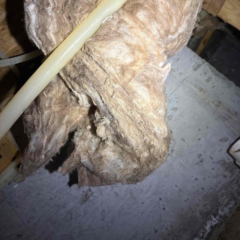 Pex hot water supply line with insulation in wall cavity