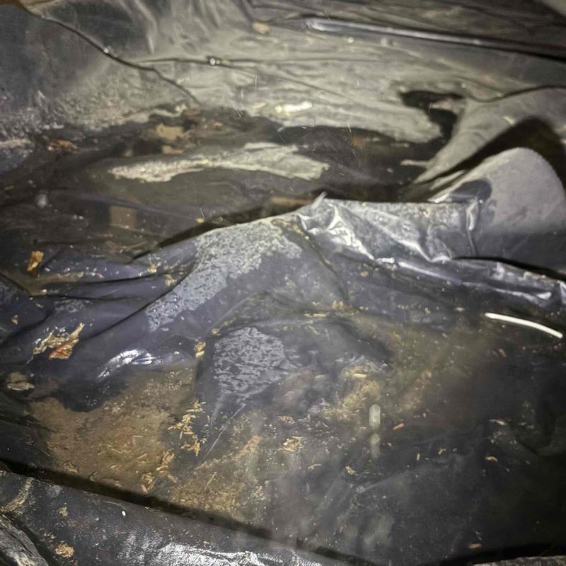 Crawl space moisture with plastic vapor barrier and debris