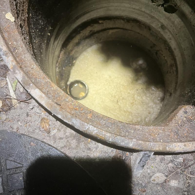 Grease interceptor inlet with foamy grease buildup Grease interceptor inlet with foamy grease buildup