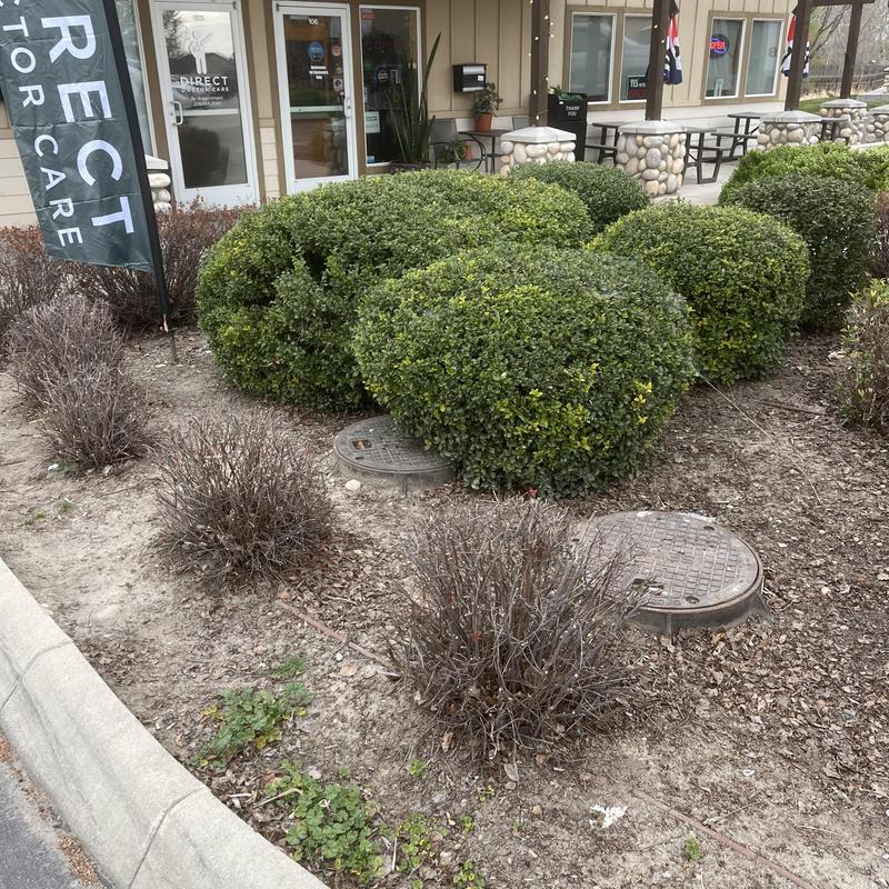 Grease interceptor cleanout covers in landscaping area Grease interceptor cleanout covers in landscaping area