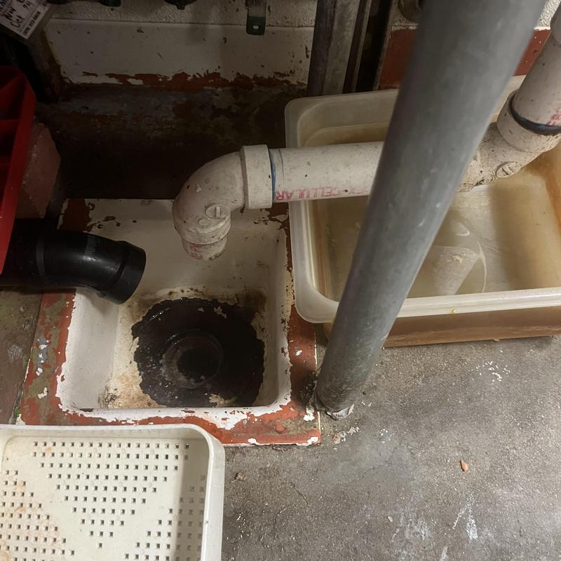 Grease trap drain line with PVC piping and floor drain Grease trap drain line with PVC piping and floor drain