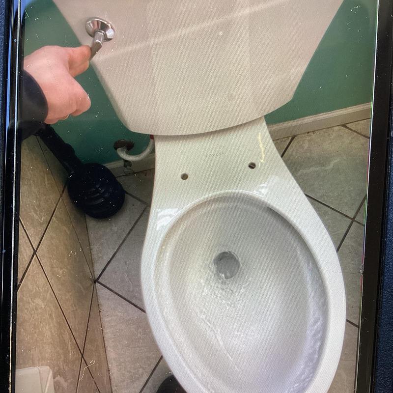 Toilet bowl flushing system with valve handle and plunger