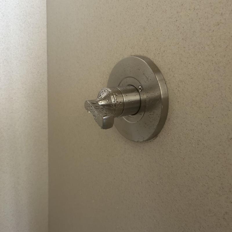 Delta single-handle shower faucet valve with water droplets