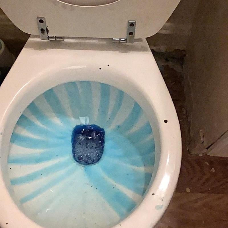 Toilet bowl with blue cleaner and visible debris