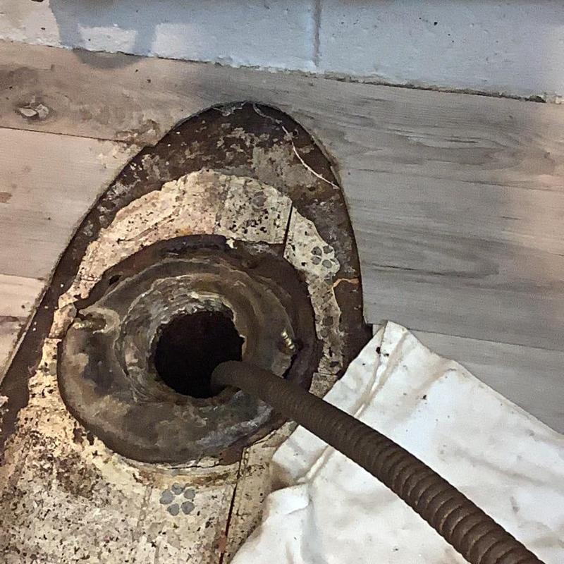 Toilet drain line with plumbing snake inserted
