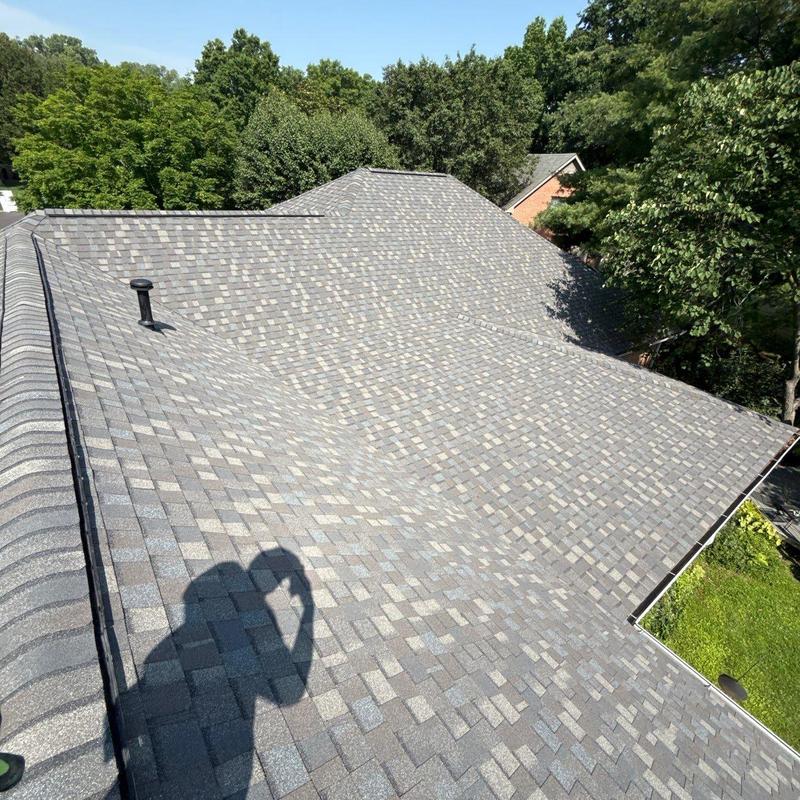 Asphalt shingle roof with vent pipe and surrounding trees