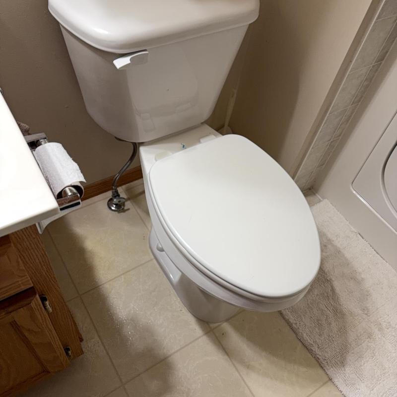 Toilet base with new wax ring and bolts installation