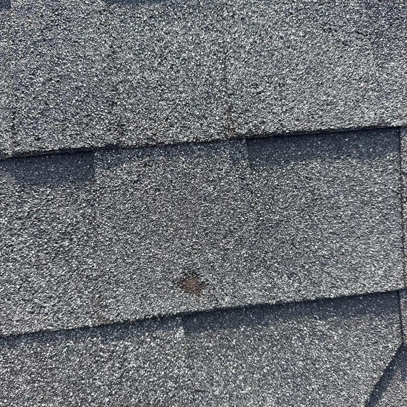 Asphalt shingles with moderate hail damage and granule loss