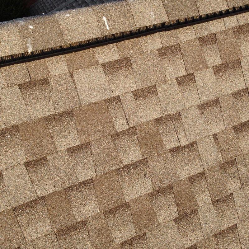 Architectural asphalt shingles with hail damage close-up