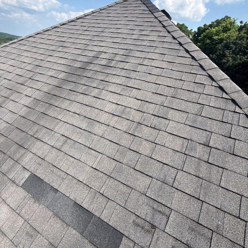 Asphalt shingle roof with hail damage and granule loss
