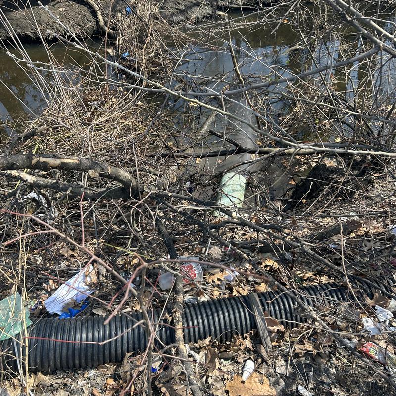 Drain pipe surrounded by debris near waterway Drain pipe surrounded by debris near waterway