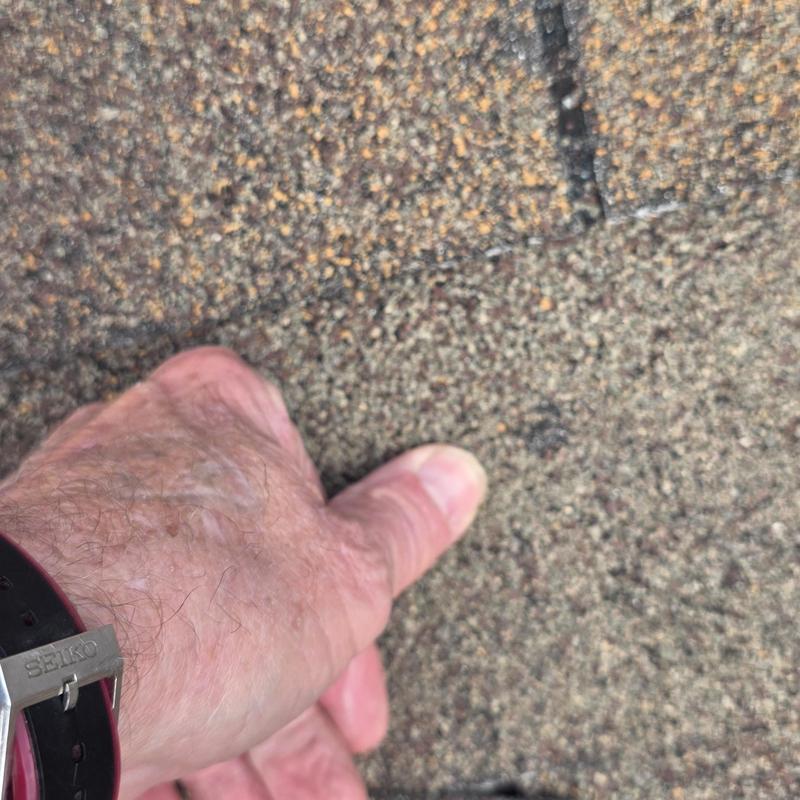 Asphalt roof shingle with hail damage and hand pointing