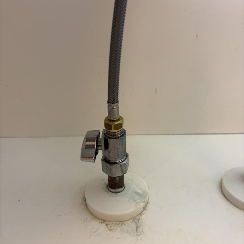 Quarter turn shut off valve with braided supply line Quarter turn shut off valve with braided supply line