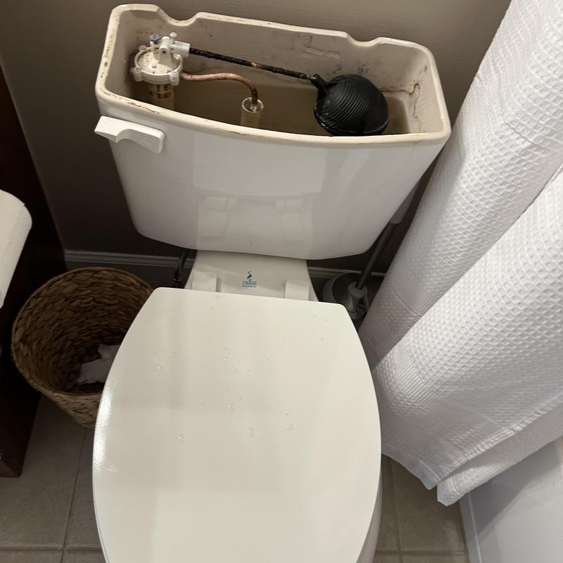 Toilet tank interior with float and fill valve components