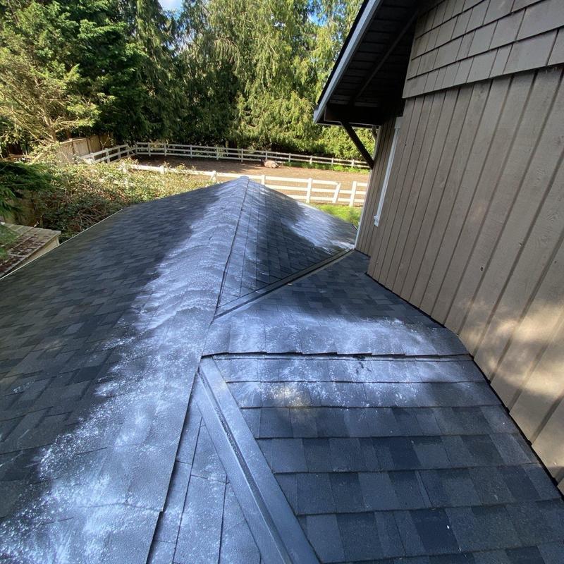 Roof shingles with moss treatment residue on surface