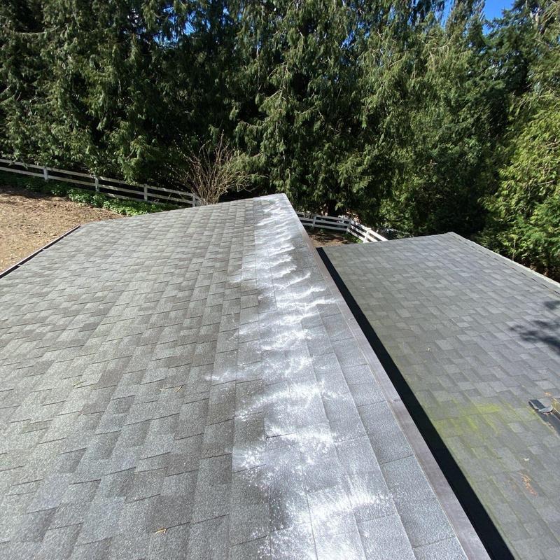 Roof shingles with moss treatment and cleaning marks