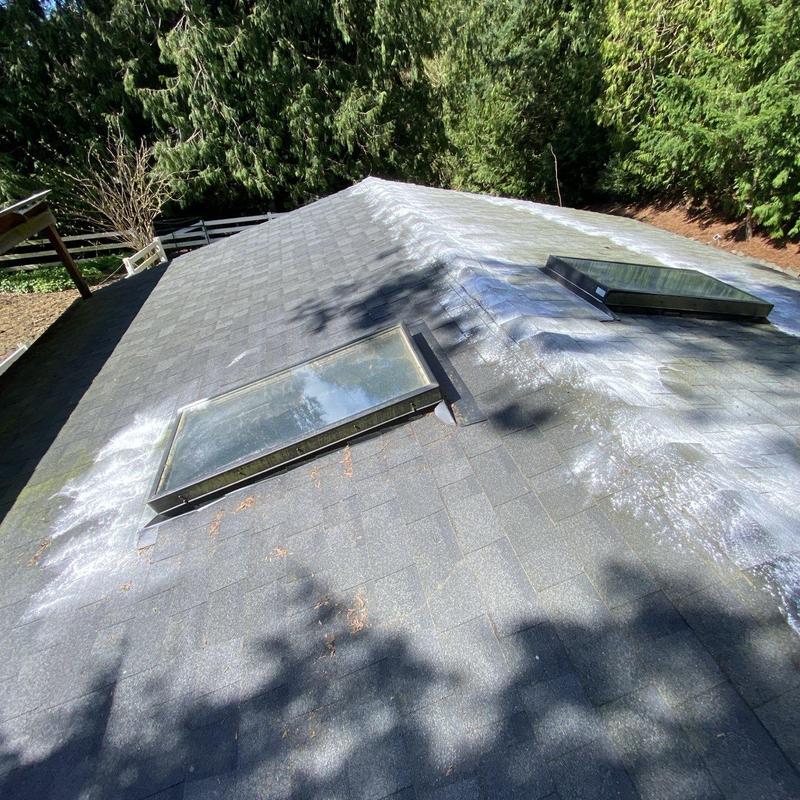 Roof shingles with cleaned moss treatment near skylights