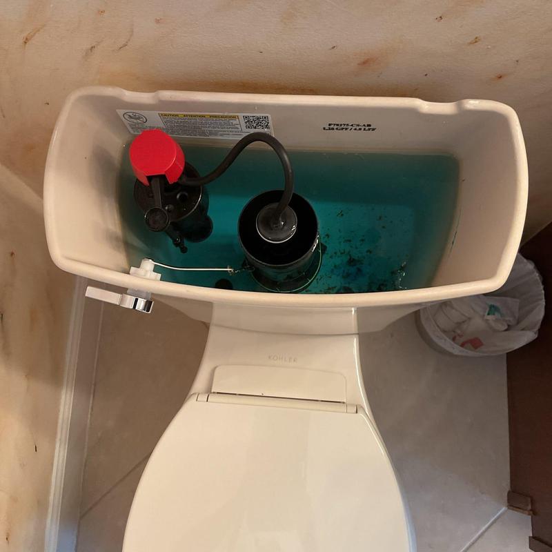 Toilet tank with refill and flush valve components