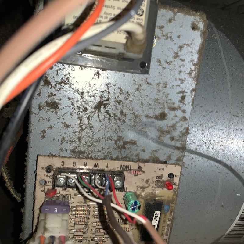 Furnace control board with wiring and components