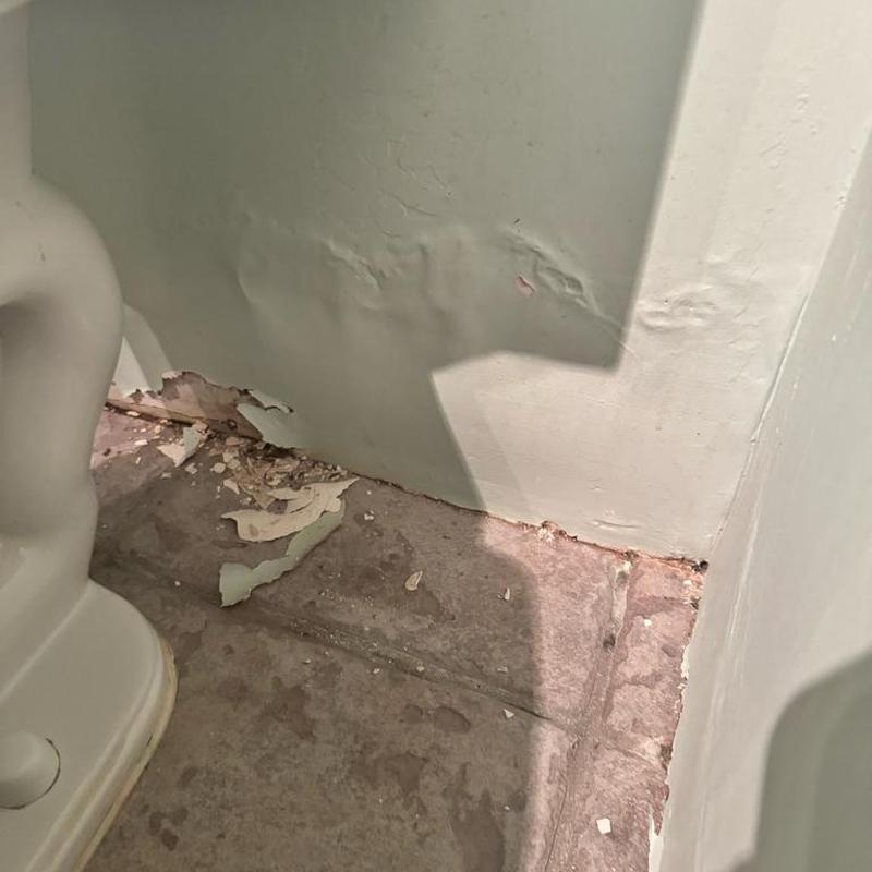 Drywall water damage behind toilet with peeling paint Drywall water damage behind toilet with peeling paint