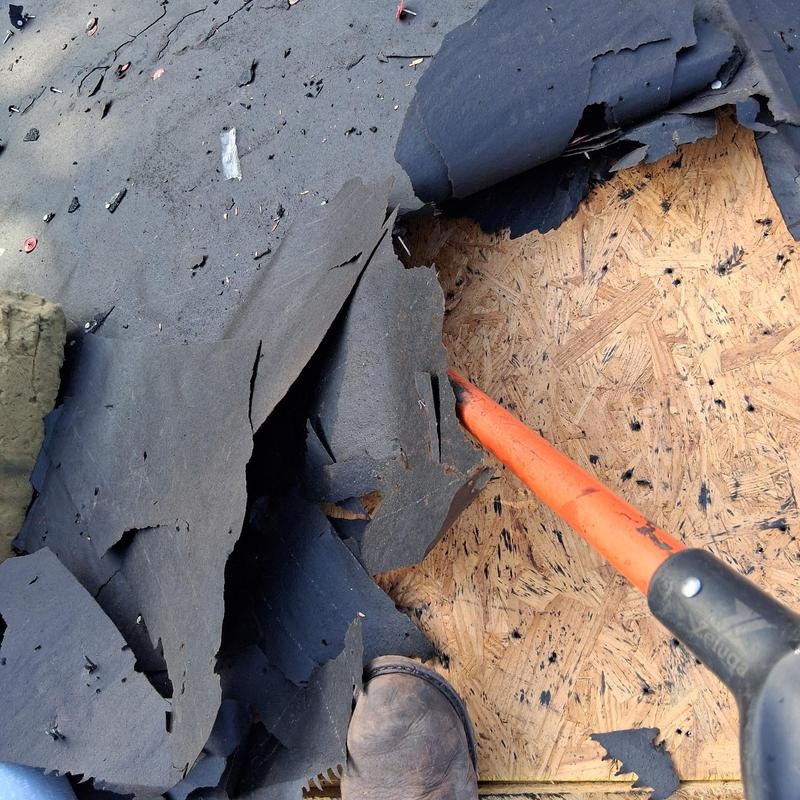 Flat roof membrane removal exposing plywood decking