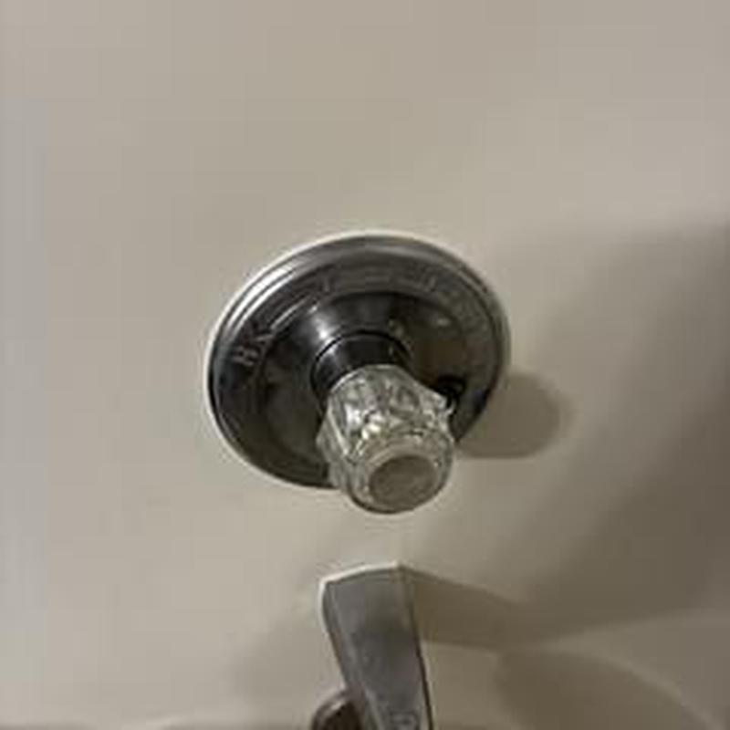 Tubshower faucet cartridge with knob and spout