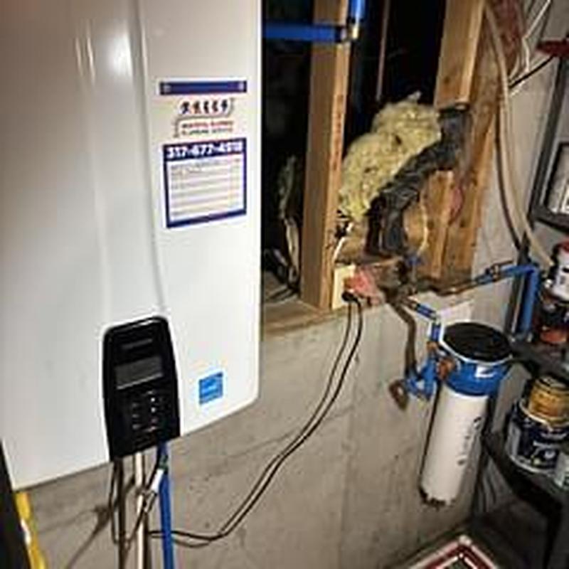 Tankless water heater flush with filter system
