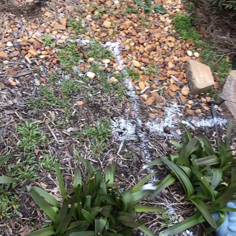 Septic tank location marked with white spray paint