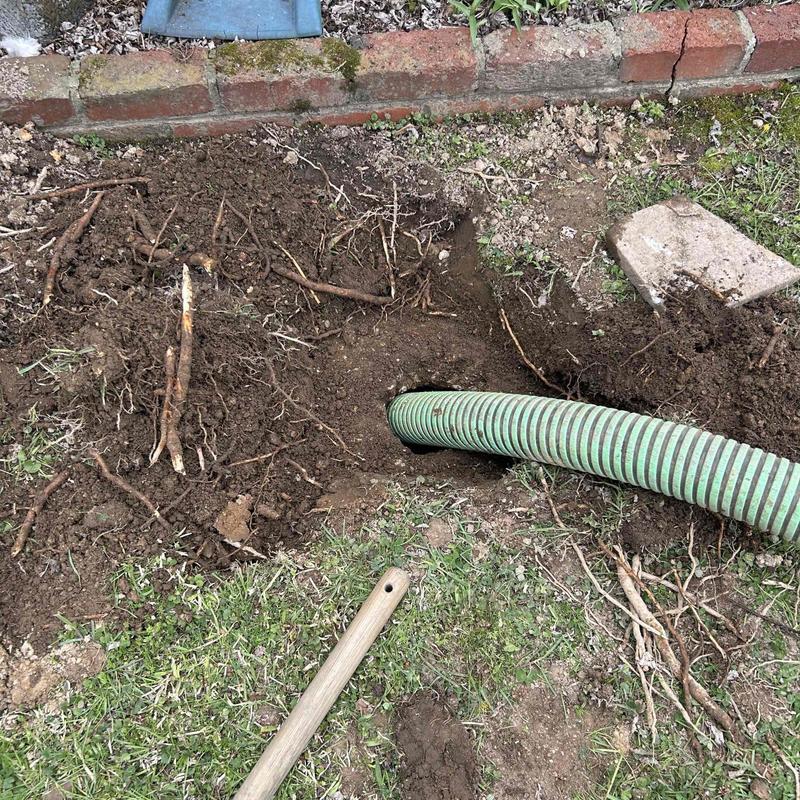 Septic tank hose clearing soil and roots near brick border