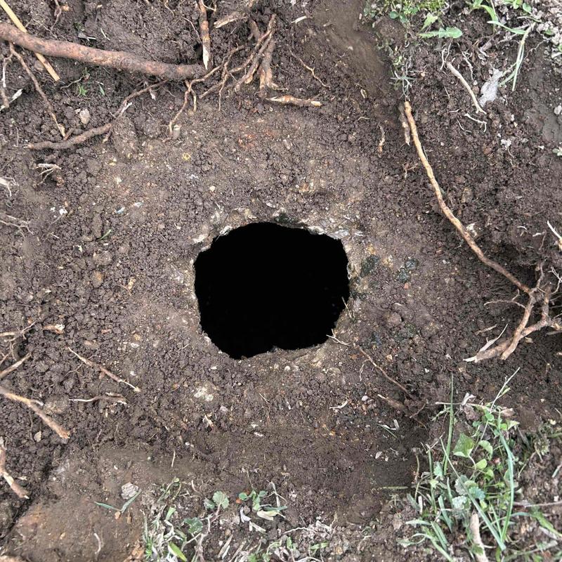 Septic tank access hole dug in soil with roots nearby