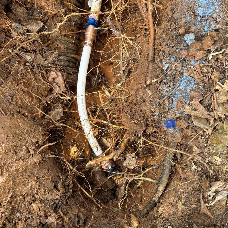 PEX piping underground with root exposure and soil backfill