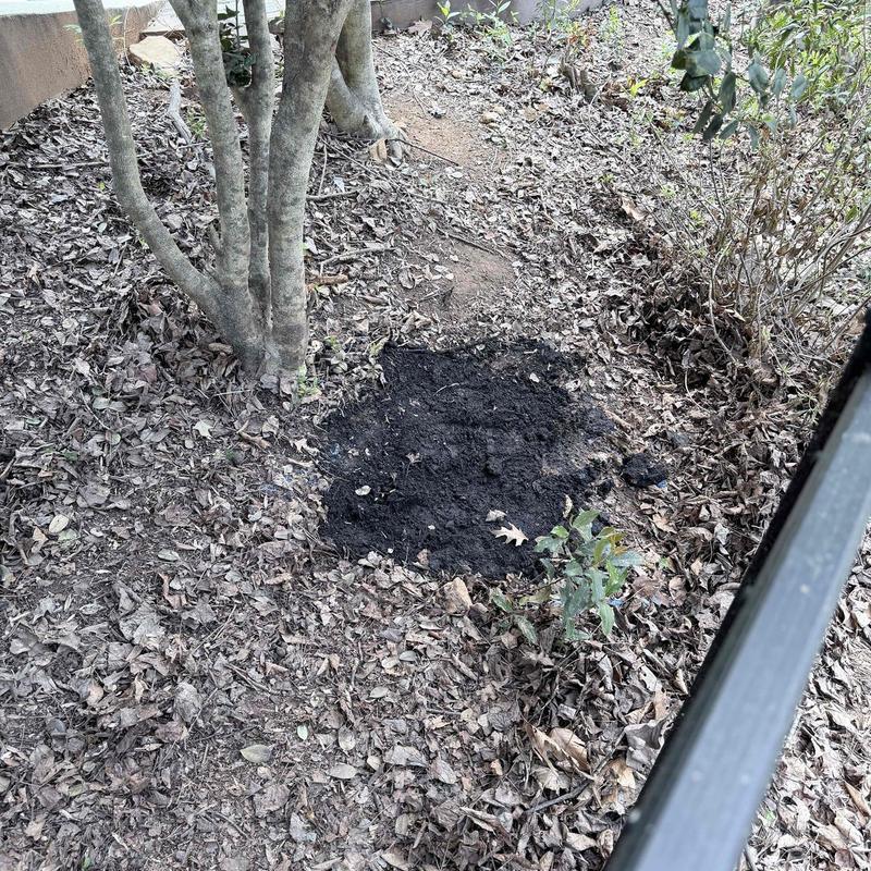 PVC and PEX underground piping soil patch near tree roots