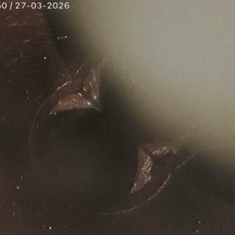 Clay sewer pipe offset with blockage buildup