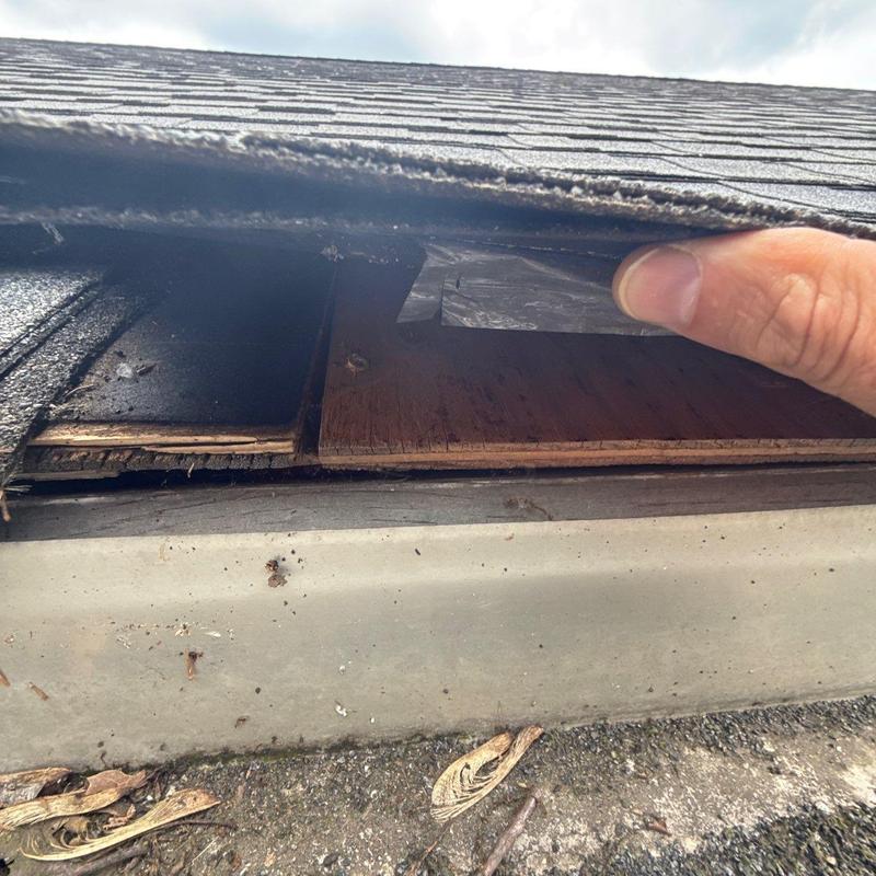 Asphalt shingle roof inspection revealing damaged underlayment