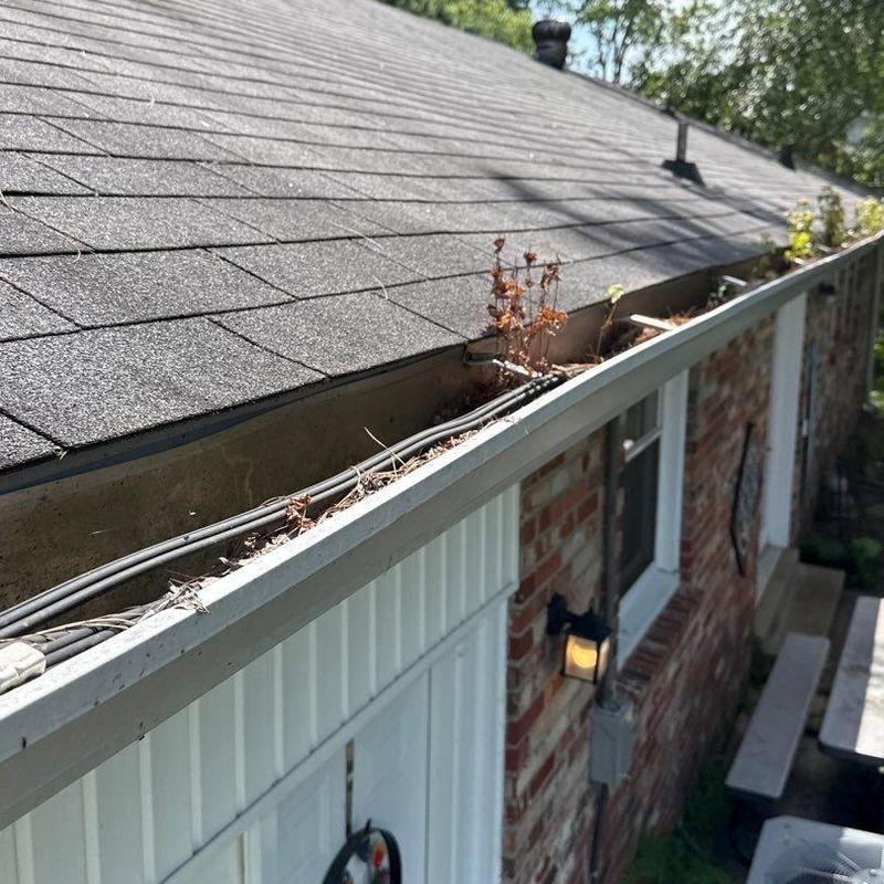 Roof shingles and gutter with debris buildup